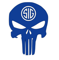 Punisher Sig Sauer Decal