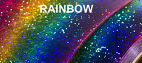 Rainbow Turtle Decal